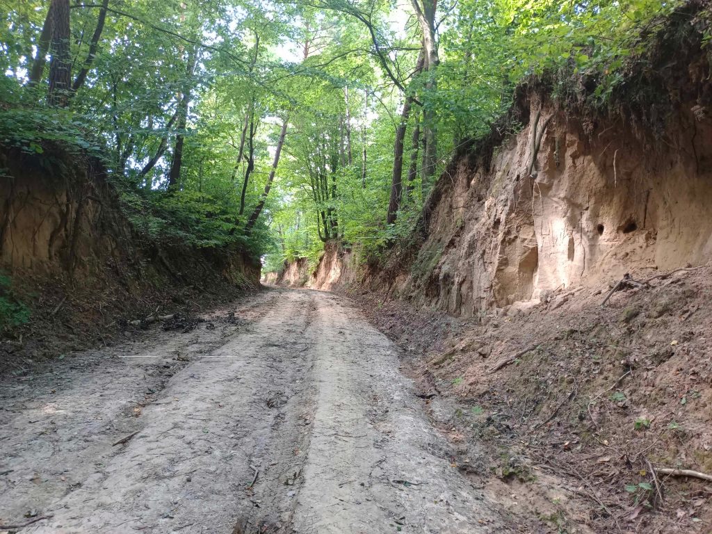 wąwóz lessowy skarpy z gniazdami ptaków